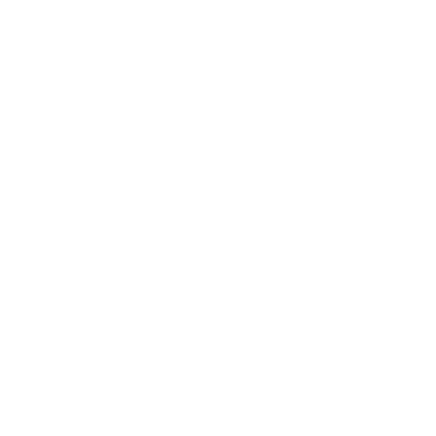 TRANSPORTE